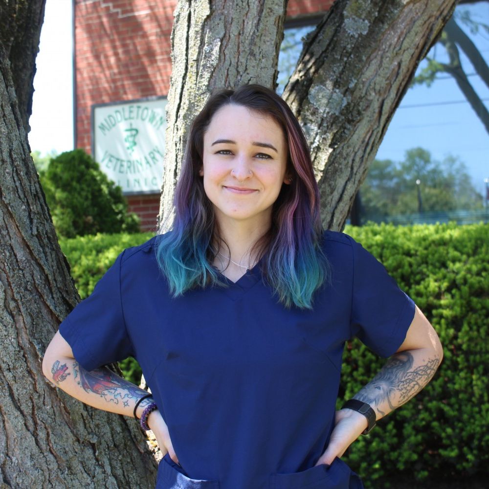 Dani, Client Service Representative