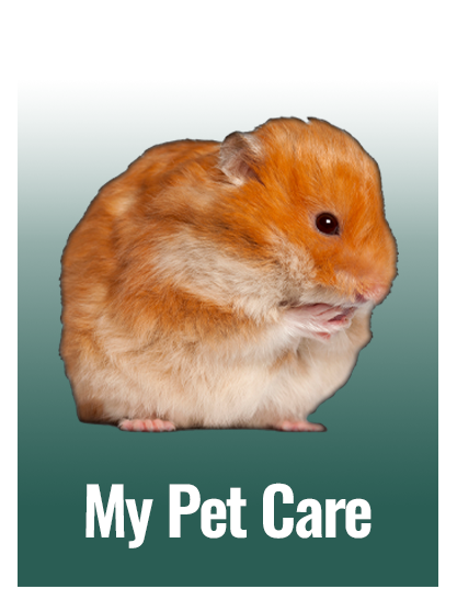 My Pet Care