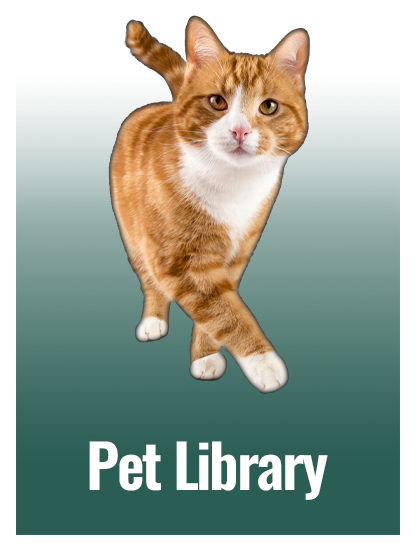 Pet Library