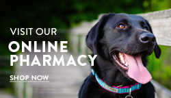 Visit our Online Pharmacy